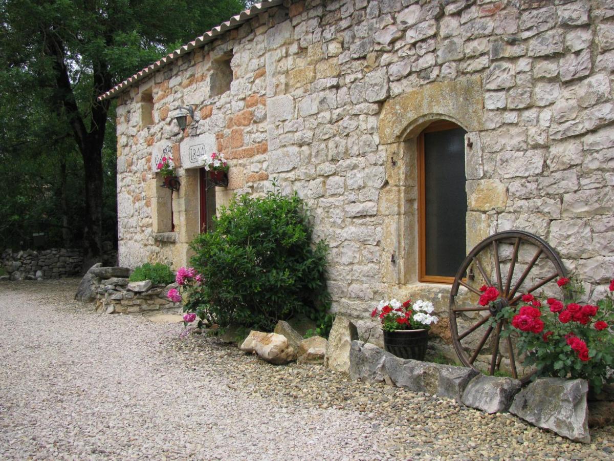 Hostal Domaine Audubert Saint-Antonin Exterior foto